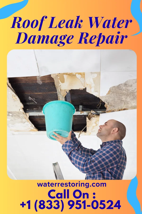 Roof Leak Water Damage Repair in Reliance, SD